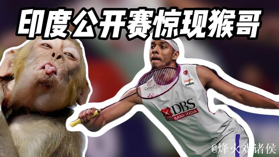 印度羽毛球公开赛：观众席惊现猴子闯入